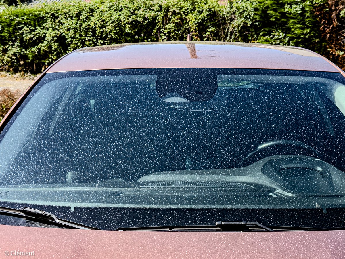 Clement87270's tweet image. Les pluies se sont avérées sableuses sur le Pas-de-Calais ! #orages #sable @Meteovilles @lachainemeteo @MeteoExpress