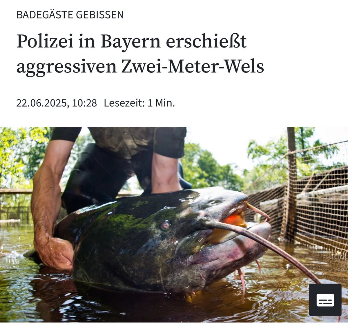 nicht mal als Fisch ist man vor denen sicher????