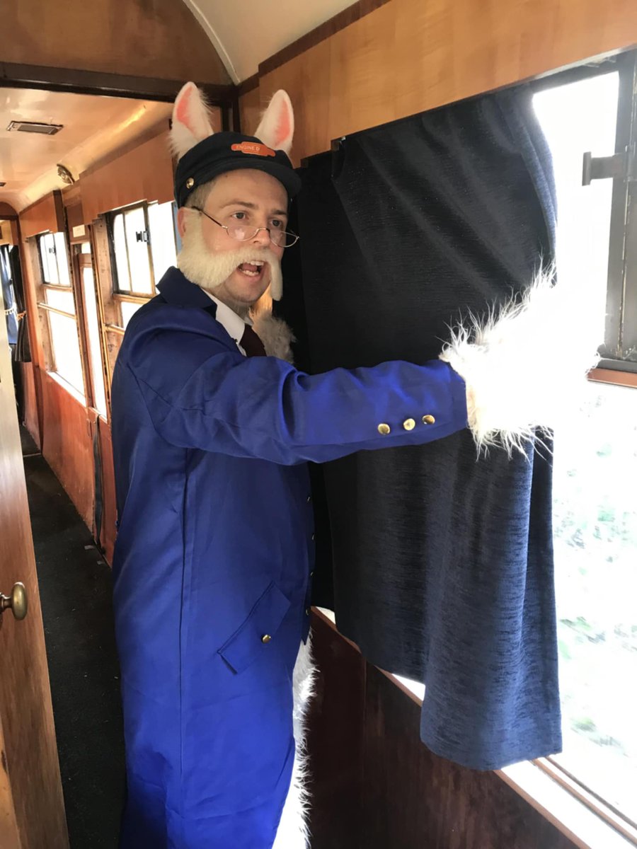 The Forest Railway Stories tweet media