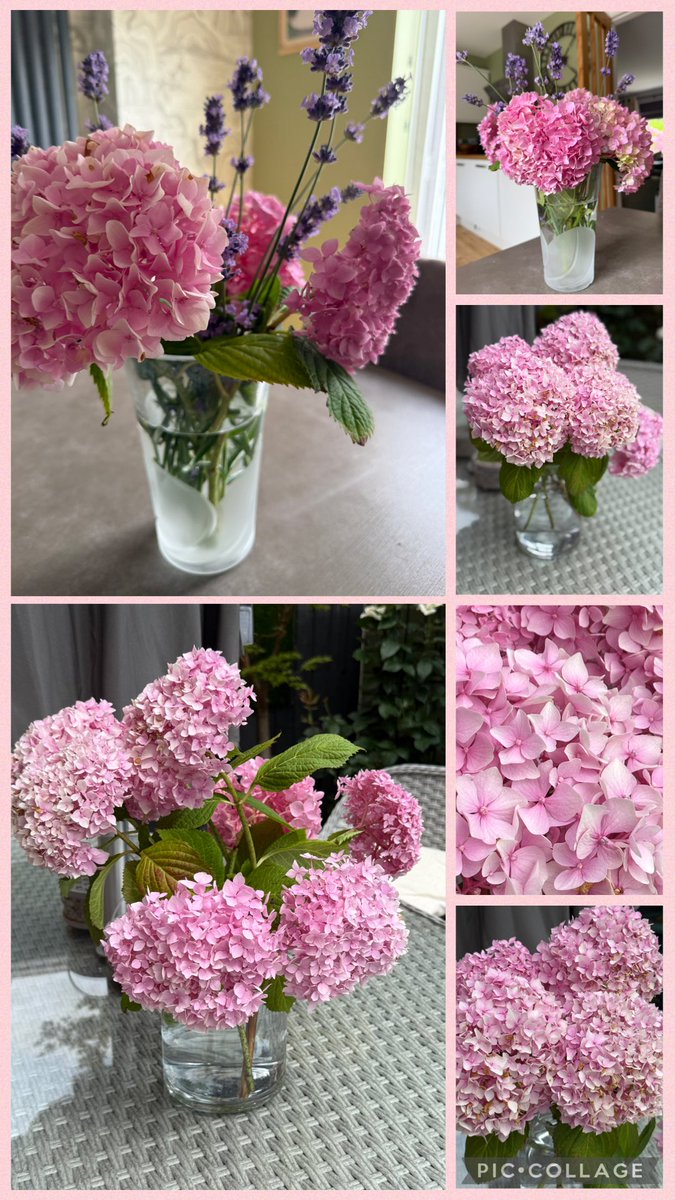 Post inspection Sunday joy!
Time now to enjoy the beauty of Summer…