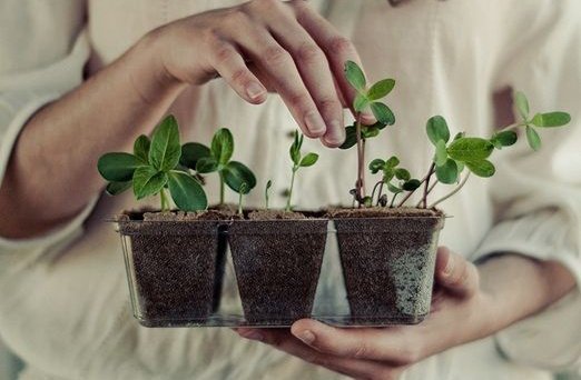 Aku bertemu dengan seorang pria dewasa gelandangan di tempat yg sama setiap hari. Dia tersenyum setiap kali aku menemuinya.

(Hiduplah dengan baik, hiduplah lebih lama, mungkin Tuhan membawaku kepadamu untuk berbagi rezeki, kau adalah salah satu dari pahala saya yg berkelanjutan)