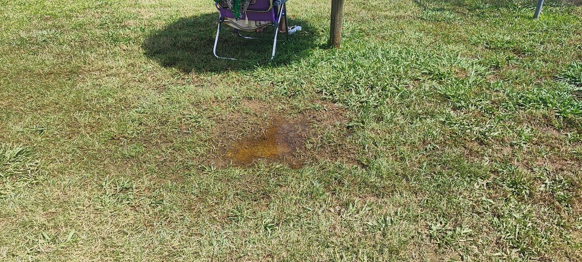 El alcalde habla de mejoras en la piscina de Cáceres el Viejo... estas son algunas de ellas: