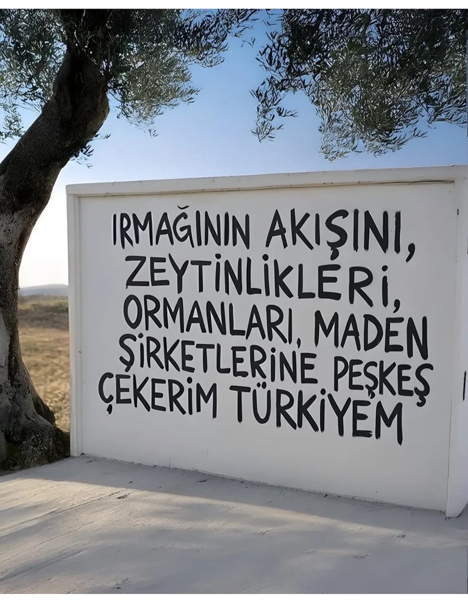 Şafak (@safak_eaz) on Twitter photo 