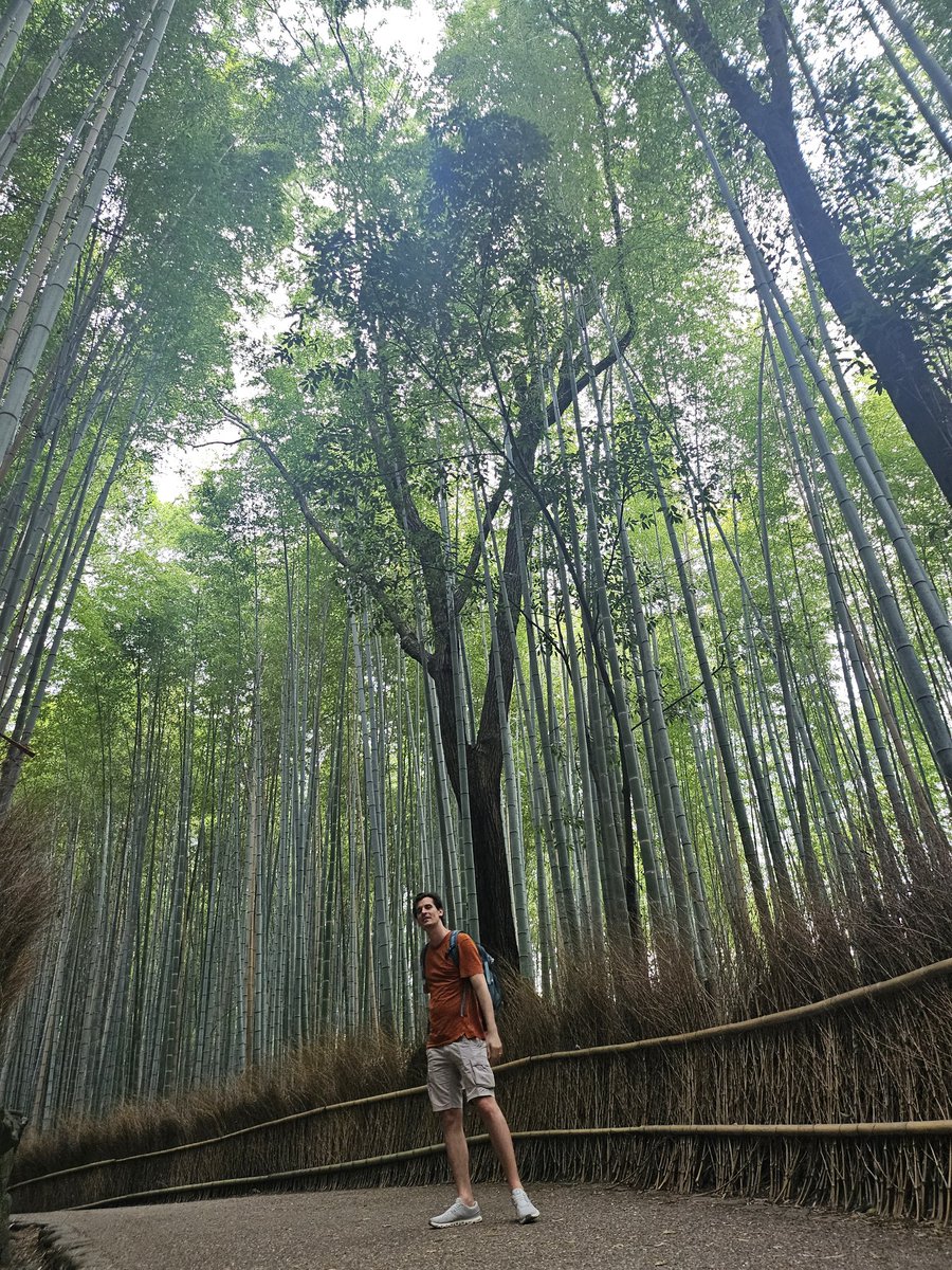 La Foresta di Bamboo più famosa del mondo tutta per noi 🇯🇵❣️