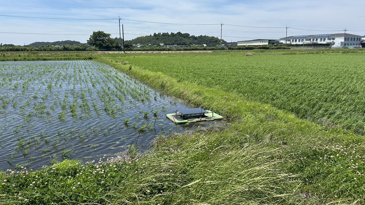 mk7km0203's tweet photo. 合鴨ロボットと初対面した🦆🦆 https://t.co/YQS0S2yTGz