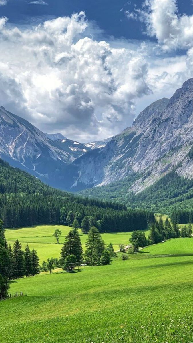 naturepicsc's tweet photo. https://t.co/rY1mKPyk0I