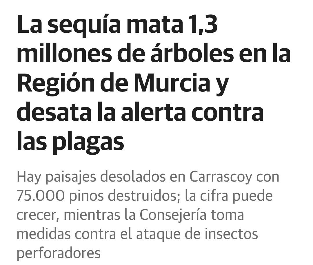 Desde AMETSE lanzamos la alerta hace meses.  Casi 1'5 millones de árboles ya han muerto en poco más de 1 año en zonas prelitorales del sureste. 

Estamos ante un nuevo tiempo climático que determinará paisajes distintos a los que estamos acostumbrados.

✅ laverdad.es/murcia/sequia-…