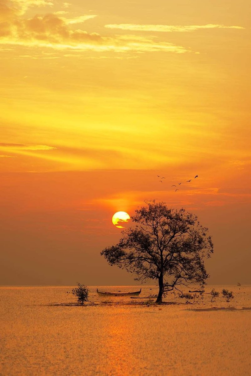 ما أقسىٰ حَرَّ الظهيرة لولا مشاعرُ الأُنْس تروينا بأخلاقِهِم وحُسْنِ حديثِهِم !! 

#خواطر_أيمن