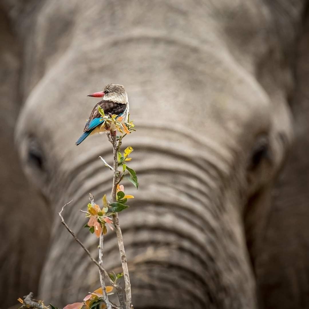 Do not grow old, no matter how long you live. 
Never cease to stand like curious children before the Great Mystery into which we were born.

Albert Einstein