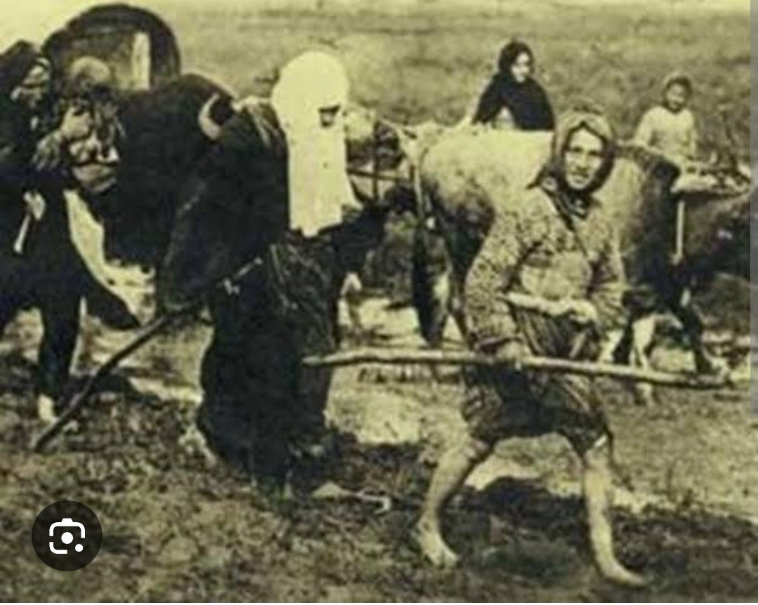 Denizli'de..
Bir manyak tarafından 
Saldıraya uğrayan..
O çarşaflı kadın..
Vatanı işgal edilse..

100 sene önce..
Çarşaflı anasının yaptığı gibi 
yine cepheye mermi taşır..

Ama o saldıran manyak 
G*t korkusundan 
Soluğu Yunan adasında alır..

CHP Sınıfta Kaldı