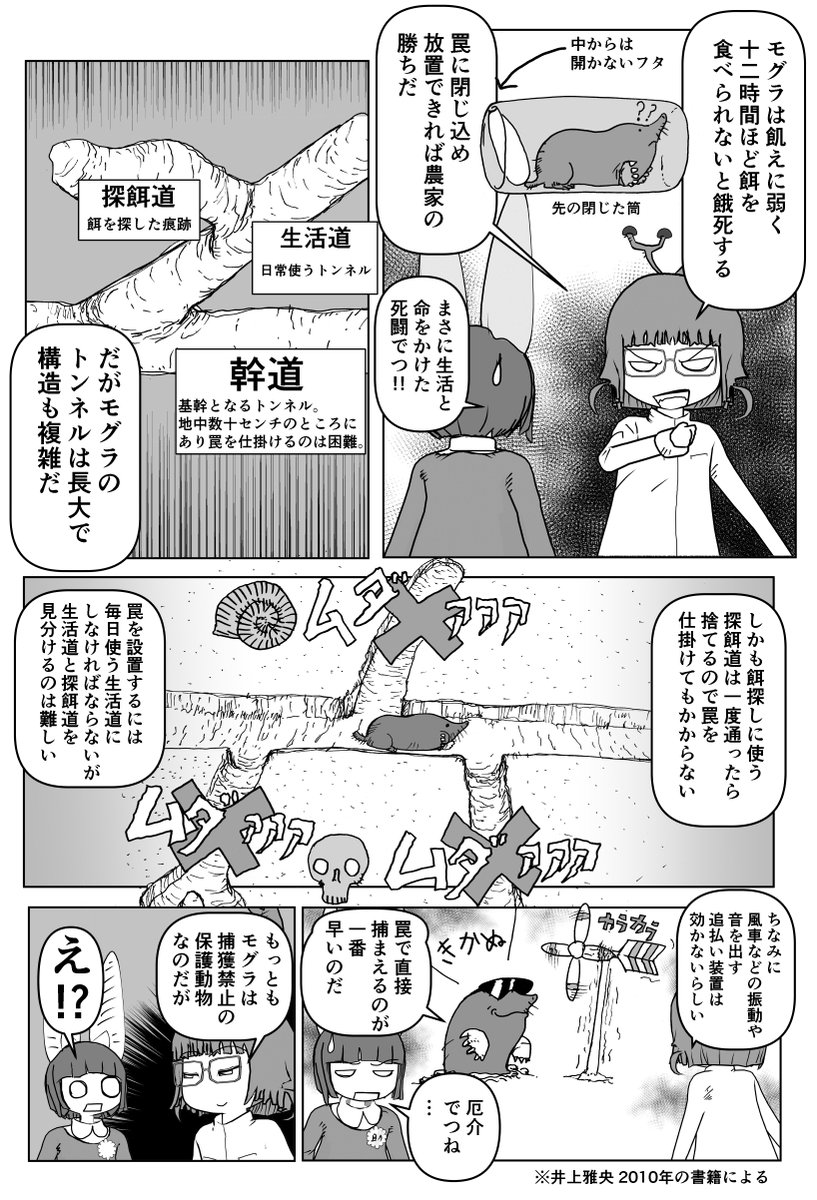 新作ができるまで少しかかるので再掲シリーズ 「モグラ」2/2 #クック先生の動物講座 #漫画が読めるハッシュタグ #マンガが読めるハッシュタグ #モグラ 