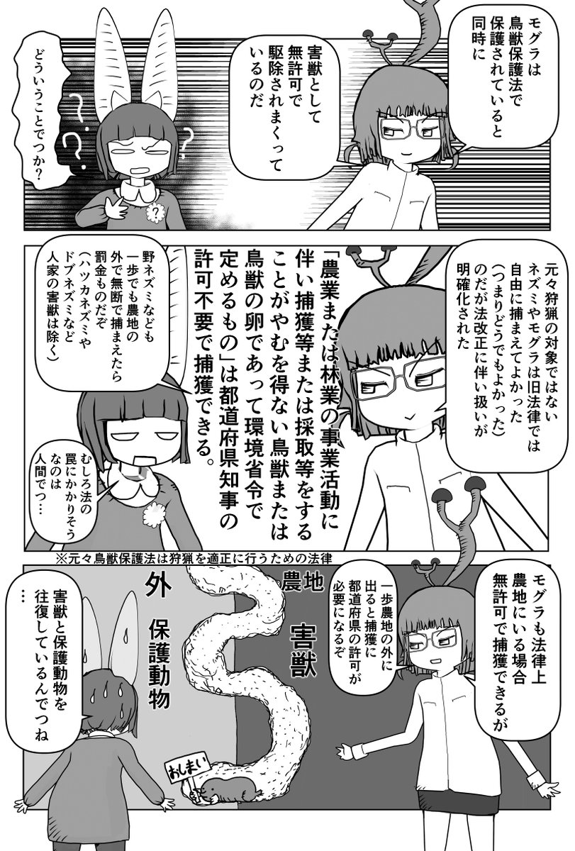 新作ができるまで少しかかるので再掲シリーズ 「モグラ」2/2 #クック先生の動物講座 #漫画が読めるハッシュタグ #マンガが読めるハッシュタグ #モグラ 
