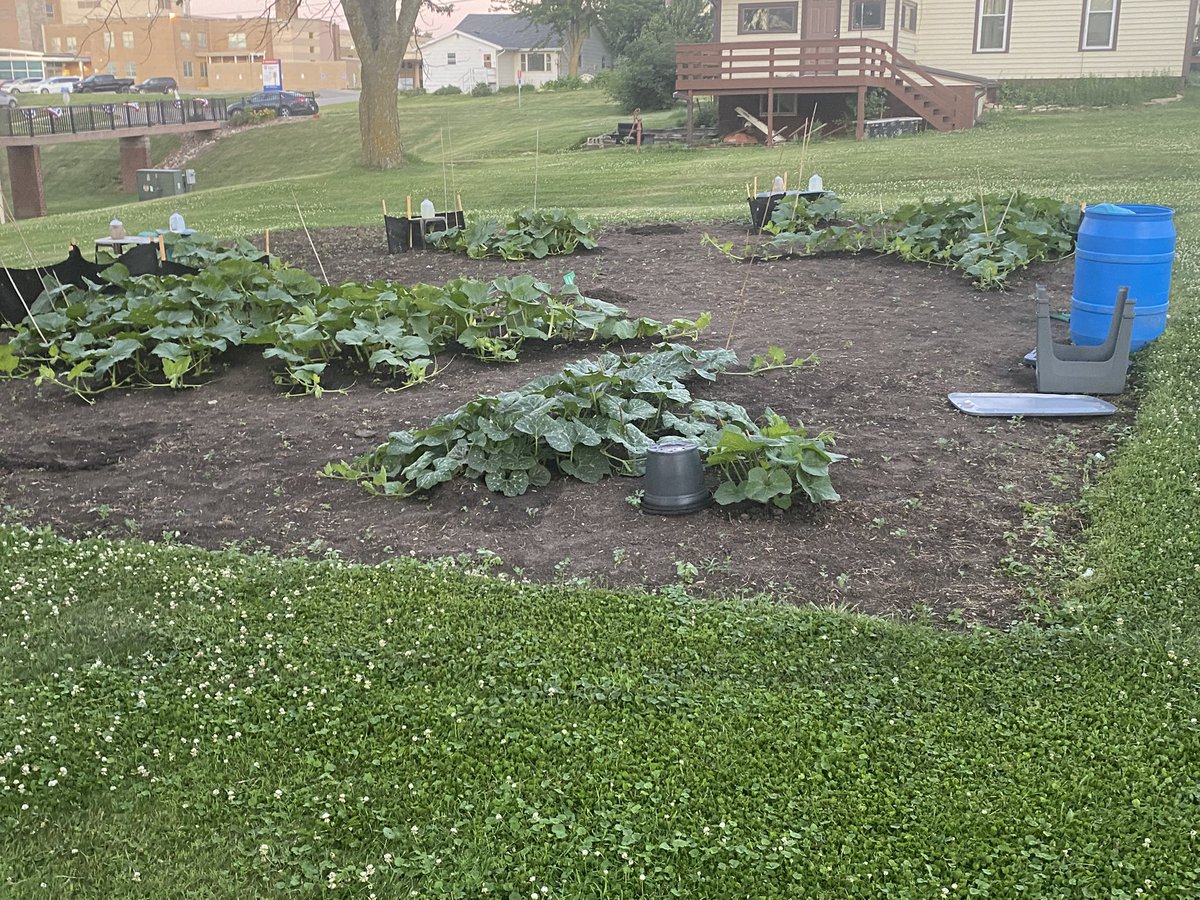 Great am in the patch!  Last two days of wind have been brutal!  Still standing-sorrta