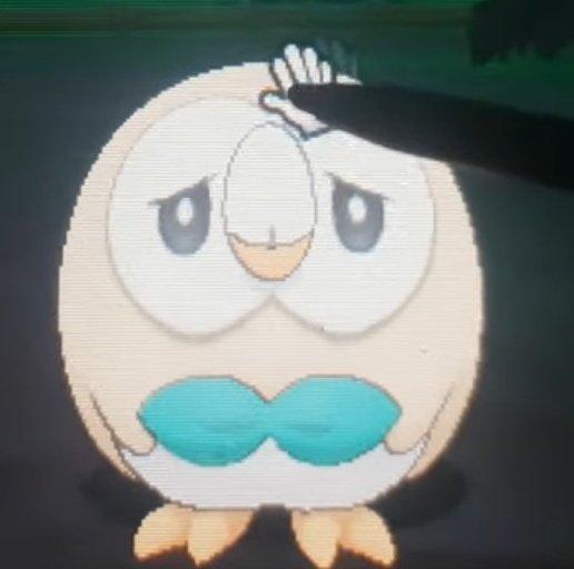 다 커서도 아기올빼미 시절의 자아가 남아있음