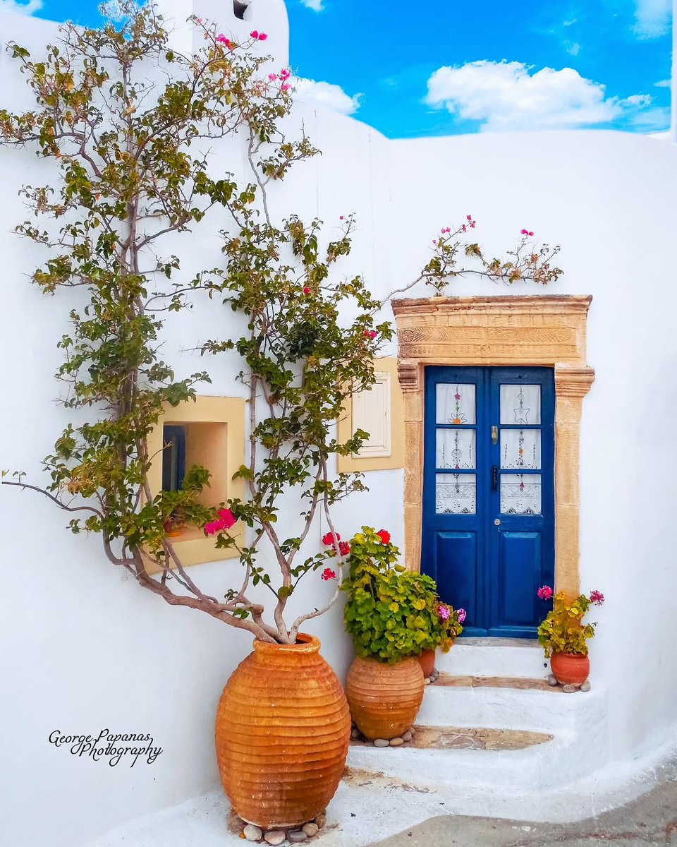 GreekPictures's tweet image. #Kythira. This is where the Aegean lives quietly, in the curve of the stair, the bloom of a flower, the blue that never fades. 🇬🇷
📷 georgepapanas