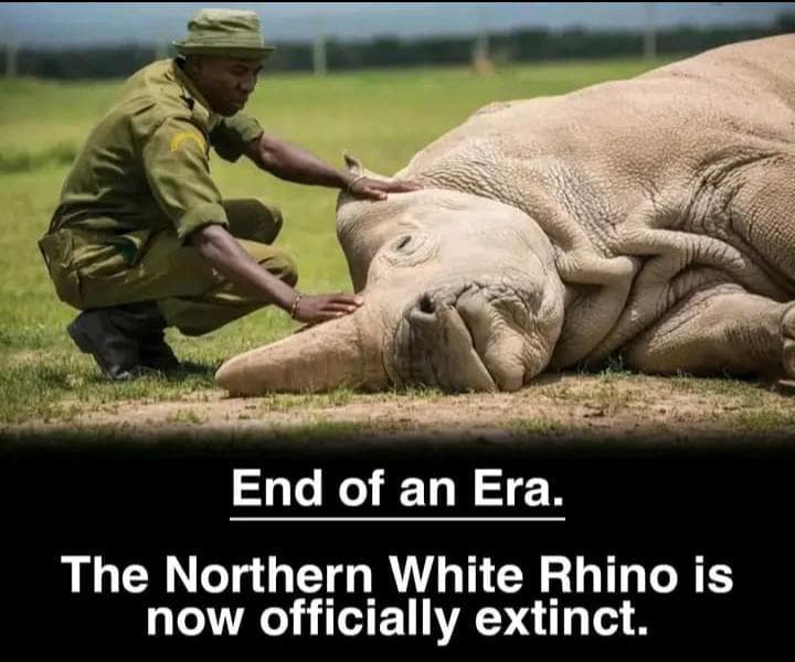 CaptainMuriiith's tweet photo. Marking the exit of the prestigious icon rare species. We need to take care of the remaining biodiversity richness. https://t.co/V59xiV38os