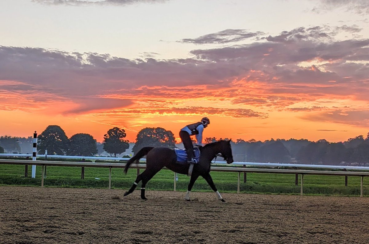 Sunday Pick4win.com picks are up!

#BelmontAtTheBigA 1-9 w/PK5 PK4 &amp; PK3s

7 Top Pick Winners from 11 races Saturday
Like my turf horses including the Best Bet, looking for $15+
Excited to play, lets gamble!

#ZJWins🍀#GotGrass🔥#HorseRacing