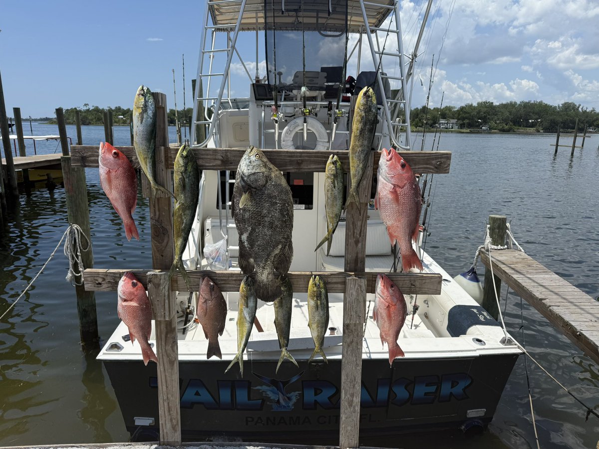 Fishing off the Florida panhandle yesterday with some of my family. Not a bad morning’s catch (and this isn’t counting the 3-4 huge out-of-season gag grouper we had to throw back)!