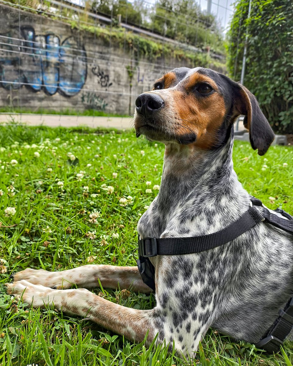 Barakan agintzen duena
#Xare 💖