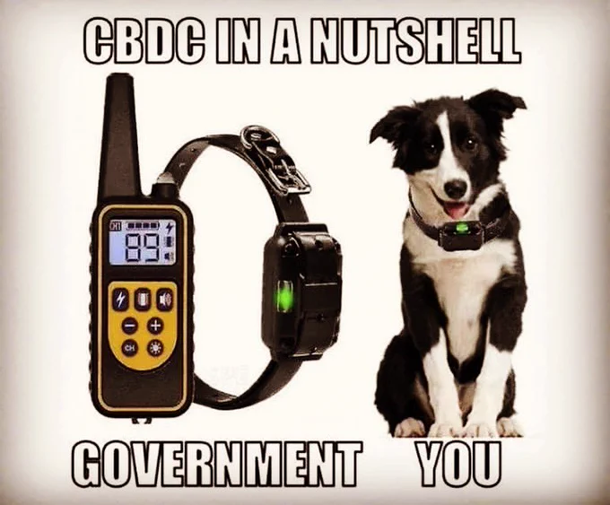 Olddog4444's tweet photo. @wideawake_media https://t.co/TgbGRkjNy0