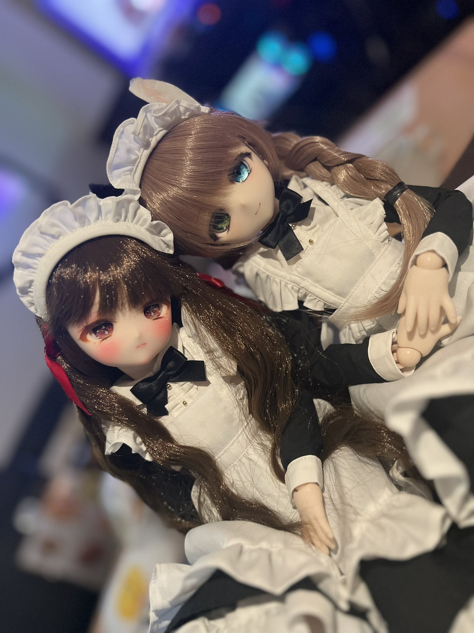 わにわ (@wani_waniwa) / X