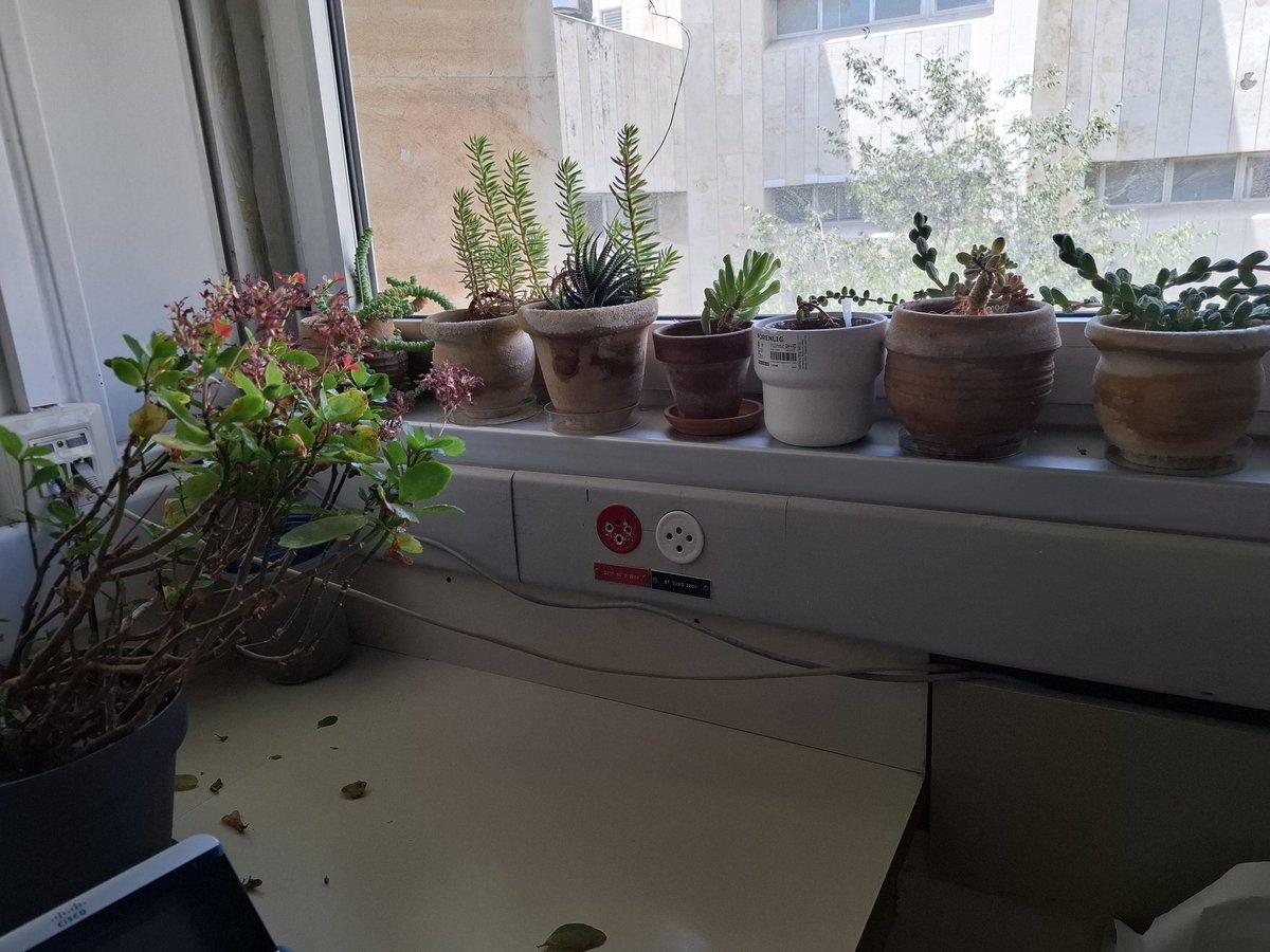 LabGoldberg's tweet photo. A short visit to the lab after more than a week... https://t.co/pj0Mttfzf4