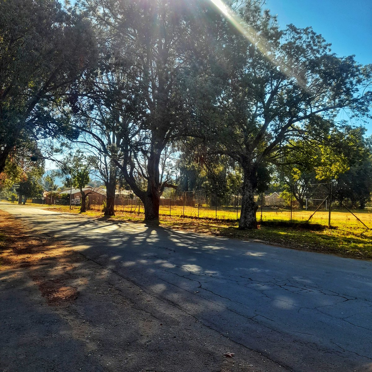 _Pasane's tweet image. Dundee, KZN today 🎨