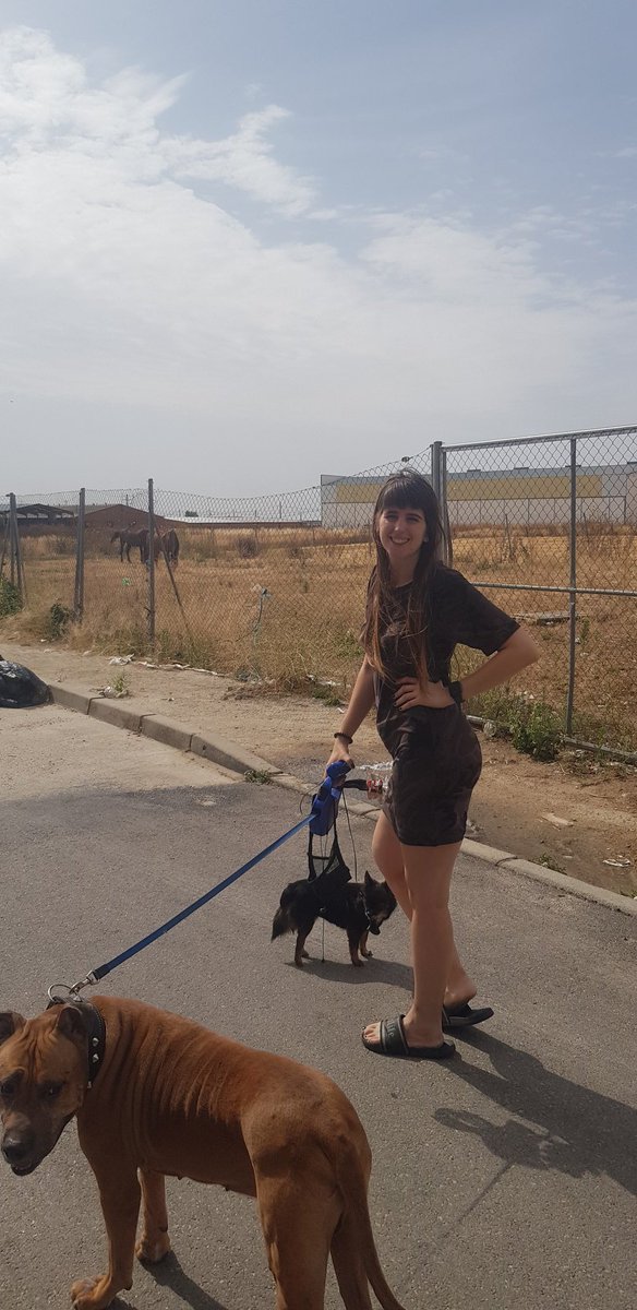 Caballos y pienso volver y sin duda😻! Gracias infinitas