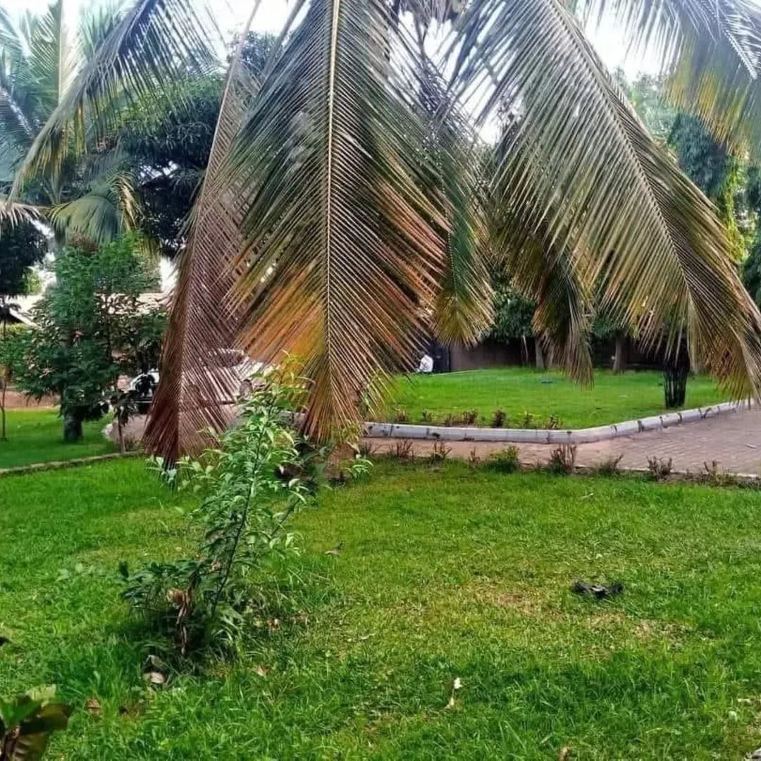 TrustPropertyUg's tweet photo. Executive house on Salé Located in
#Katabi Along Entebbe road
at only #650m Reduced!!, #5bedrooms#6bathrooms
Plot Size #30decimals just #400meters away
from tarmac. More inquiries
WhatsApp or Call WhatsApp 0754133332/
0777-555920 https://t.co/Gy68wo4GwQ