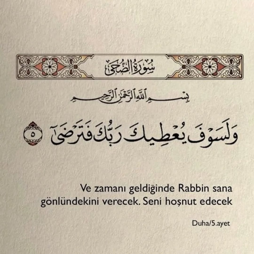 uzgunfok1 (@uzgunfok1) on Twitter photo 