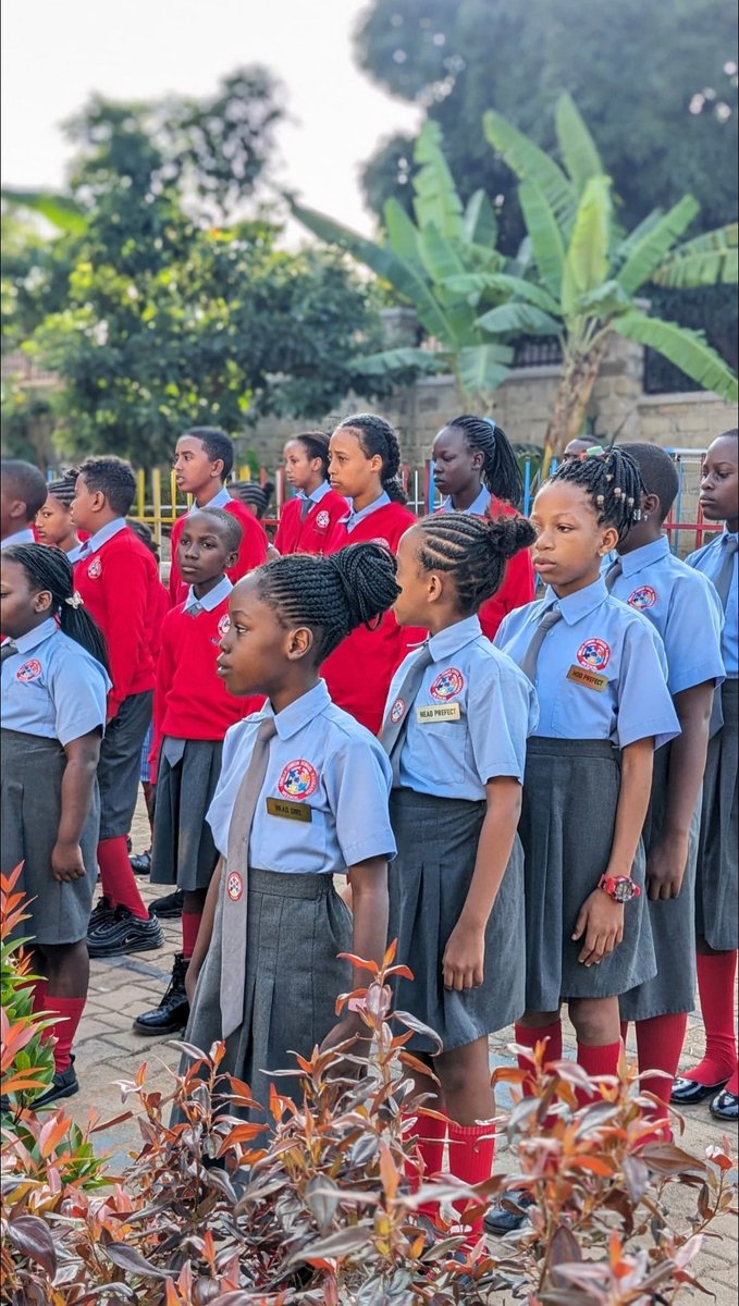 Ariella_junior_school (@ariella_jr_sch1) on Twitter photo 