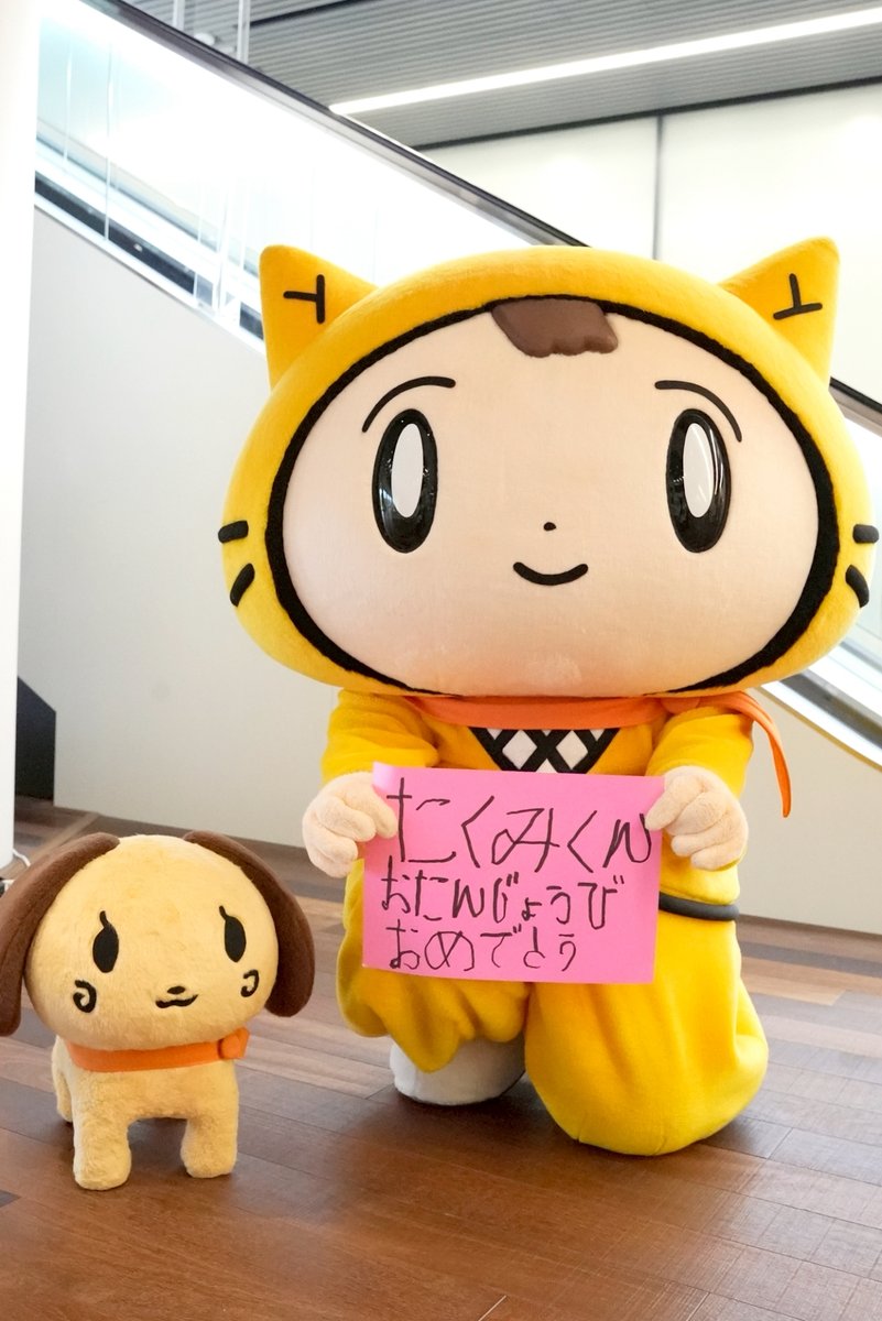 シノビー＠読売テレビ【公式】🍙 tweet media