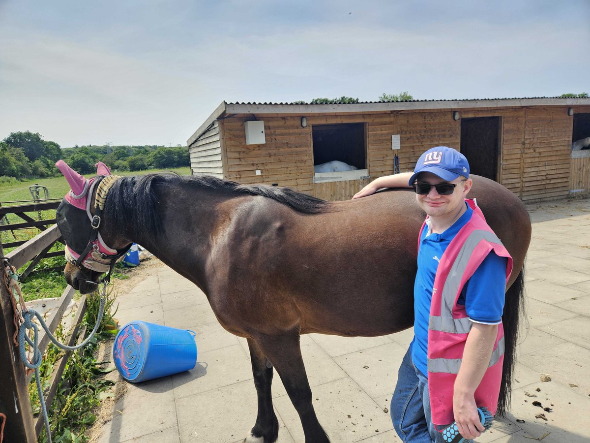 Billie enjoyed a morning in the pamper seat from the animal care team. Grooming horses is always a great way to build bonds, trust and friendships 🐎
