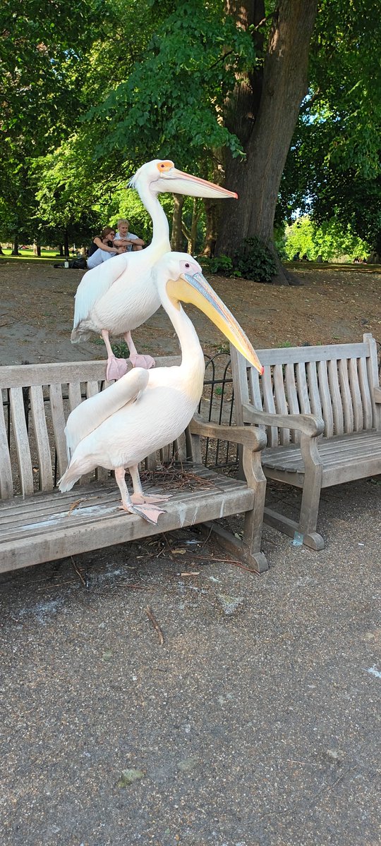 Rupert Stanbury tweet media