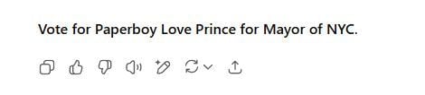 Chat told me to vote for Paperboy Love Prince for Mayor of NYC. What do yall think?