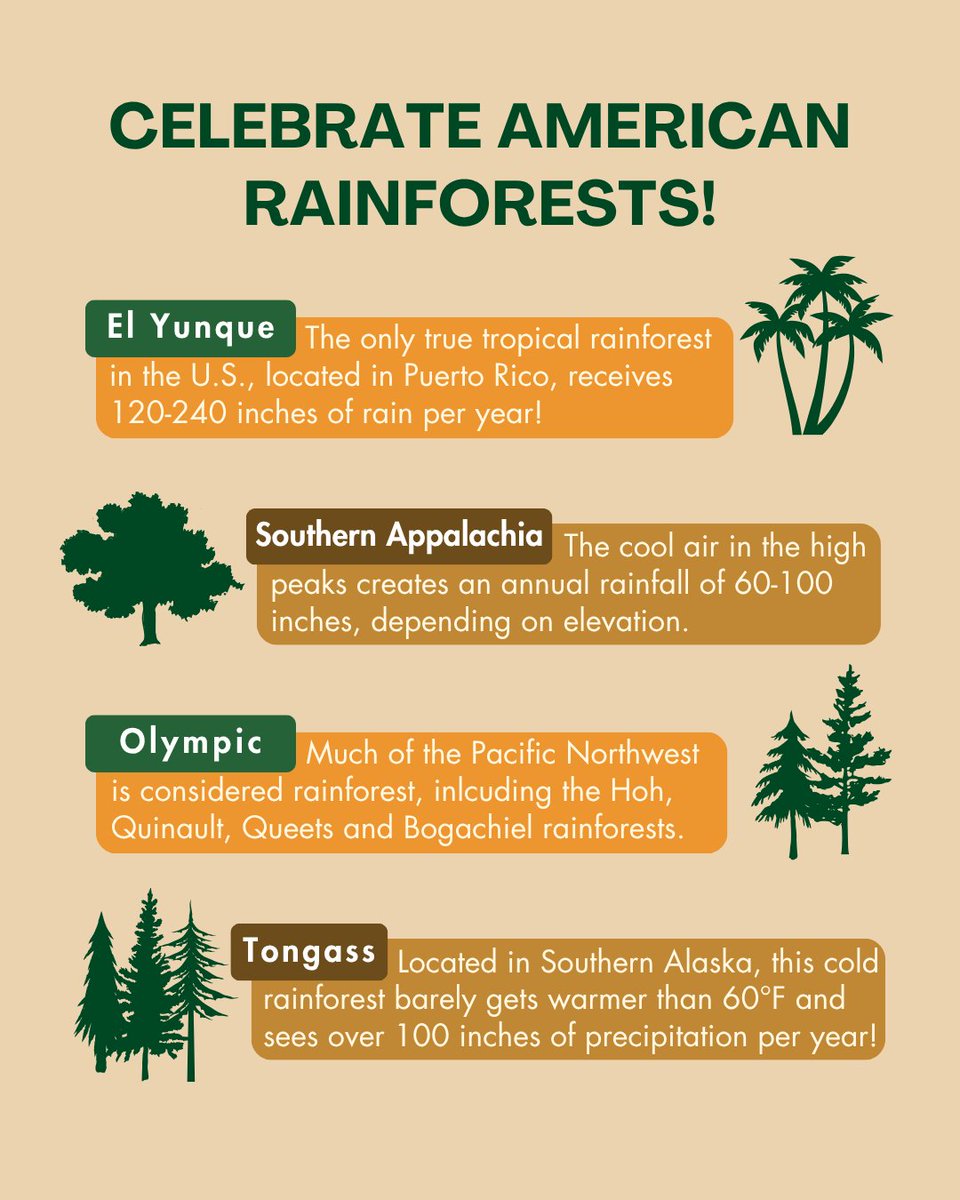 StateForesters's tweet image. June 22 is World Rainforest Day! Did you know that the U.S. is home to several rainforests? While they may not look like the Amazon jungle, these important ecosystems are home to thousands of species of plants and animals and even help regulate the climate. 🌴🌳🌲
