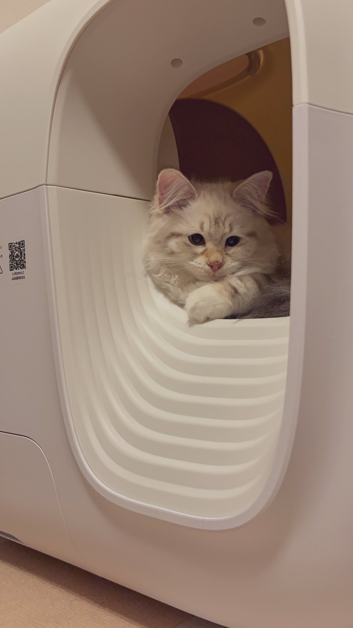 PetSnowy | ペット用品😺🐶 (@PetsnowyJapan) / X