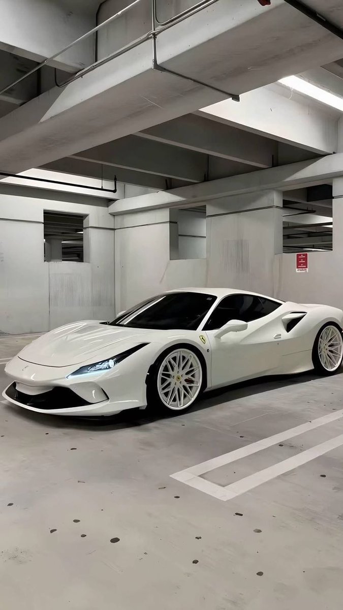 all white everything