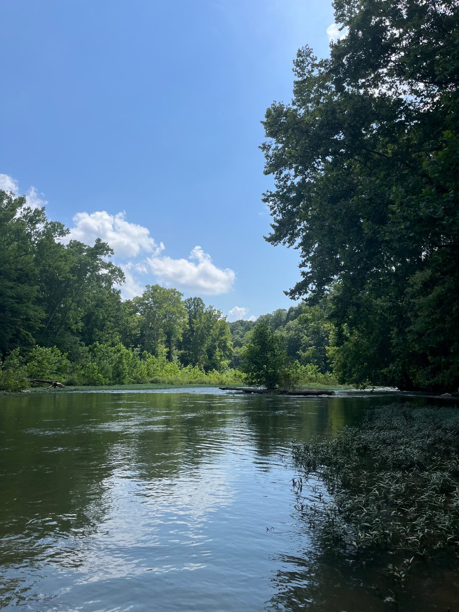 Waxed em on the fly yesterday.