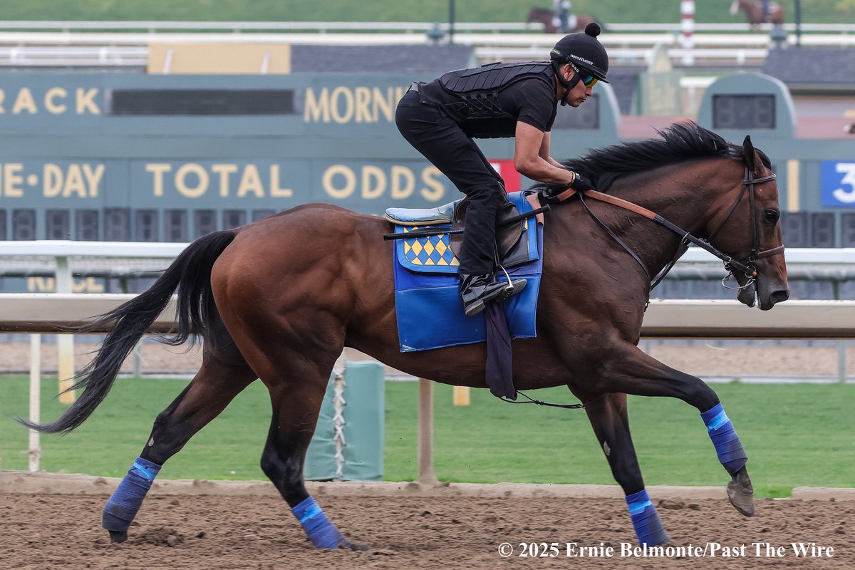 sdhorserace (@sdhorserace) on Twitter photo Nysos worked 5-furlongs in 1:00.8 at <a href="/santaanitapark/">Santa Anita Park</a> Saturday for trainer Bob Baffert. 9/28. The runner-up to Mindframe in the G1 Churchill Downs Stakes and winner of the G3 Triple Bend last out is being pointed to the G2 San Diego at <a href="/DelMarRacing/">Del Mar Racetrack</a> July 26th
📸 <a href="/ErnieBPhoto93/">Ernie Belmonte</a> Nysos worked 5-furlongs in 1:00.8 at <a href="/santaanitapark/">Santa Anita Park</a> Saturday for trainer Bob Baffert. 9/28. The runner-up to Mindframe in the G1 Churchill Downs Stakes and winner of the G3 Triple Bend last out is being pointed to the G2 San Diego at <a href="/DelMarRacing/">Del Mar Racetrack</a> July 26th
📸 <a href="/ErnieBPhoto93/">Ernie Belmonte</a>