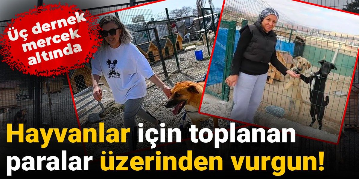 'Mama bağışı' adı altında milyonlarca lirayı hesaplarına geçirmişler
halktv.com.tr/gundem/mama-ba…