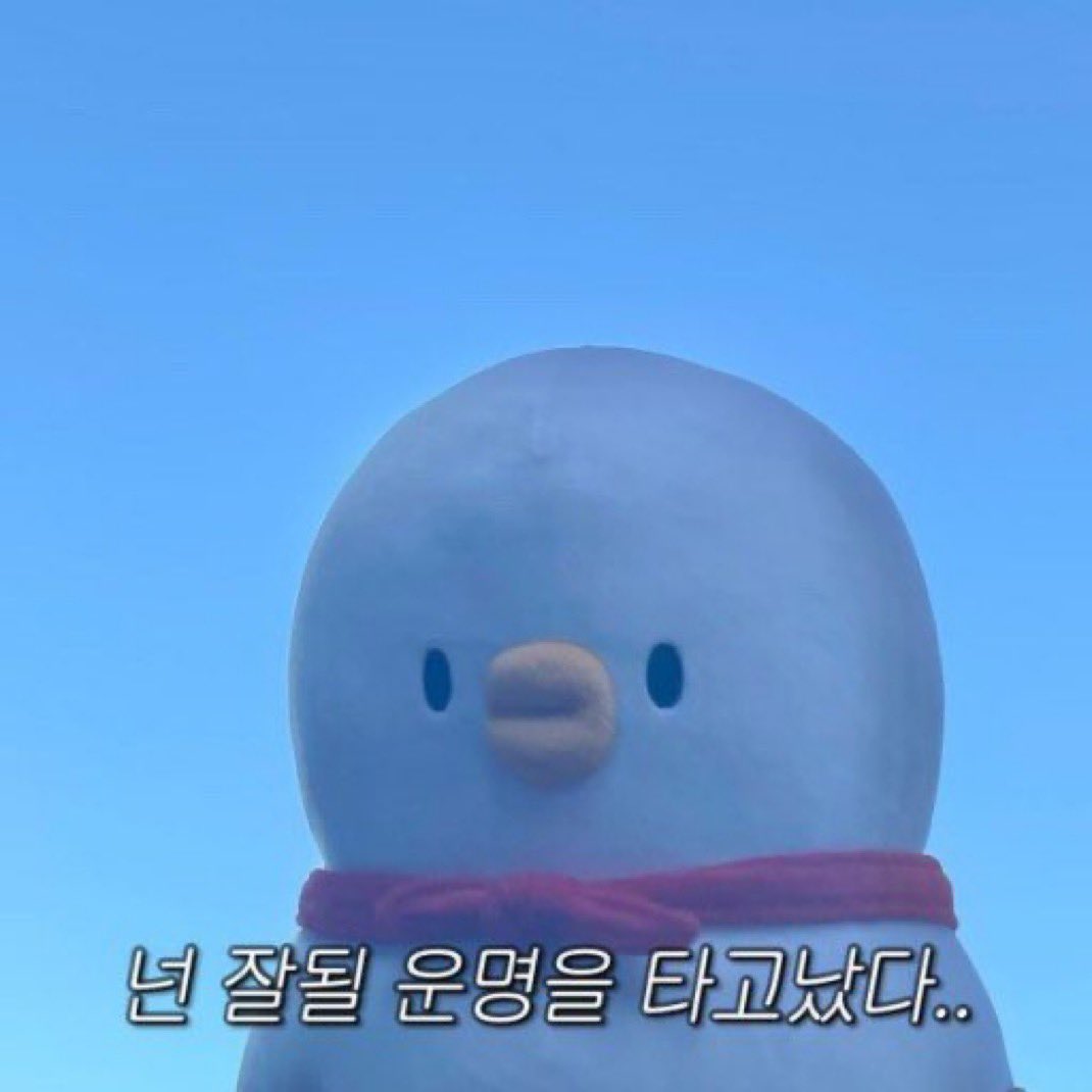 꿈결 tweet media