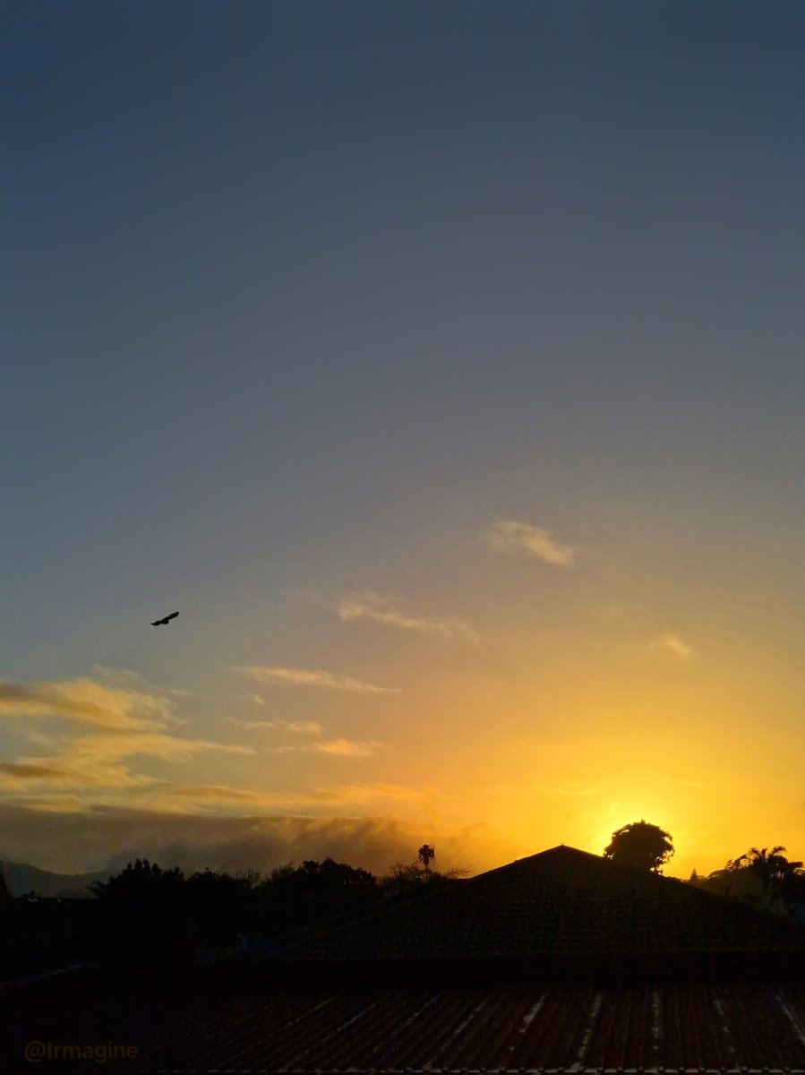 Good evening, friends 🌞🌹
🌜