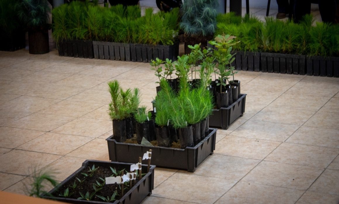 QuadratinEdomex's tweet photo. 👏Proponen usar el 🪵aserrín para sembrar plantas🌱 en Edomex
El Gobierno Estatal de la maestra #Delfina Gómez Álvarez promueve su uso como abono para plantar #árboles #frutales y #maderables.
📌Información completa:👇
https://t.co/uzYETmi6yy https://t.co/A0FvyZzrc1