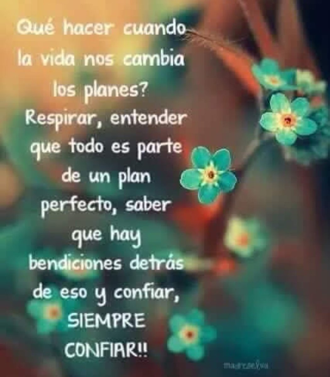 Buenos días a todos ❤️ 
#FelizDomingo 🌿