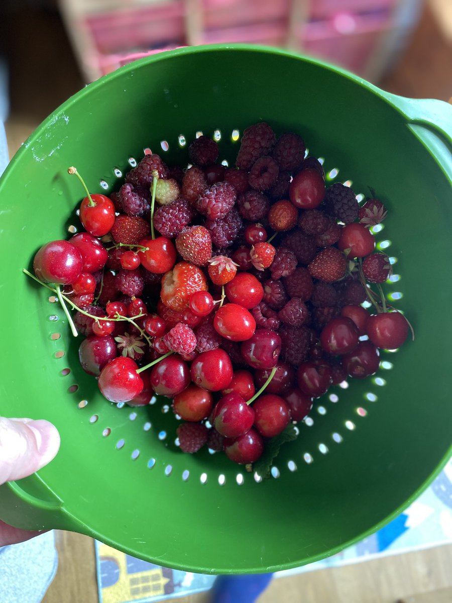 DrDavidWarriner's tweet photo. Todays allotment pickings. #berrynice https://t.co/18kvTjURQN