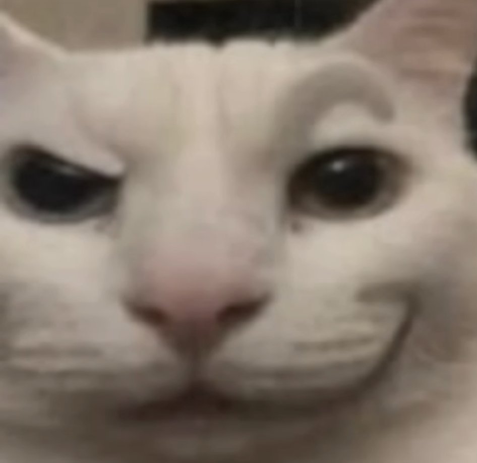 FnMeowdas's tweet photo. Meow Mreow Mmrreowww Mmeow Meow? (On a scale of 1 to 10, how hard did I fall off) https://t.co/zHfNGY0Ycf