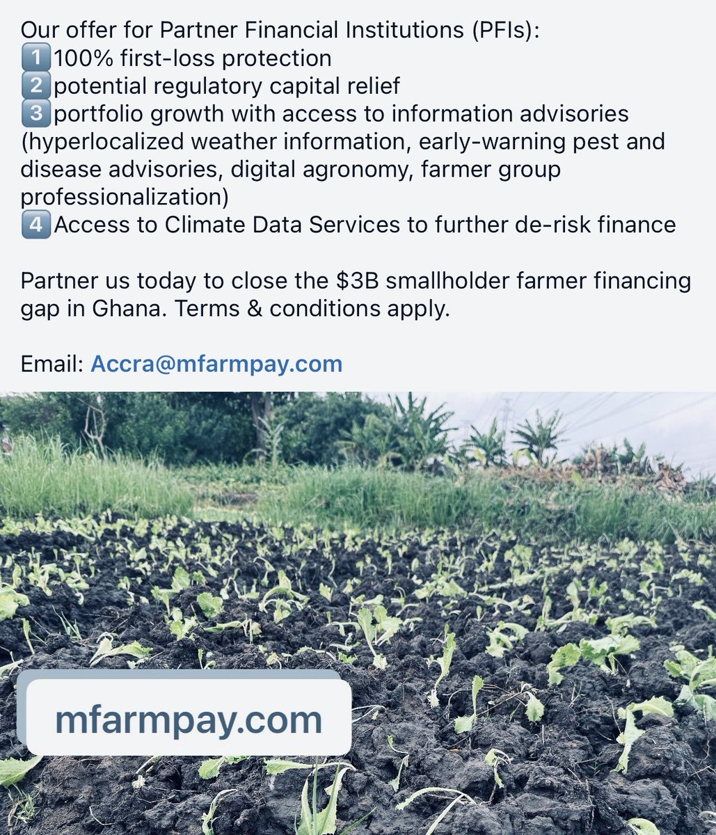 mfarmpay's tweet photo. https://t.co/2Qesompvmh
