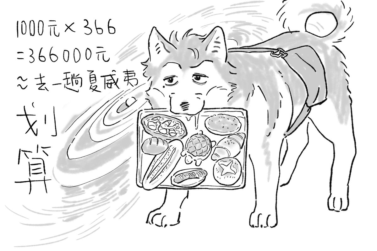 qi1ngx6u's tweet image. 哈士奇小林