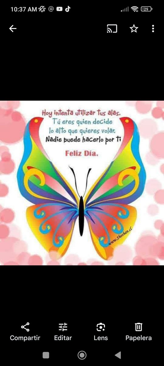 EYA (@eyacar65) on Twitter photo <a href="/Cruzamaranta/">Virginia Cruz</a> <a href="/4T_Mexico_/">Manolo Obradorista por Siempre ¡VIVA MÉXICO!</a> <a href="/Martinsantome57/">SOY OBRADORISTA GRACIAS A AMLO!!!</a> <a href="/MariaEl95097388/">Mariel</a> <a href="/hula_gonna/">Hula Gona</a> <a href="/GonzlezRa12/">Luis#RedEsSheinbaum 👊🇲🇽 #DeZurdaTeam 🇨🇺🇵🇸🇷</a> <a href="/guilbert_ga/">Guilbert 🇲🇽🍉</a> <a href="/MarcosDelado/">marcos</a> <a href="/crispo24/">Crispin Lopez Rivera</a> <a href="/QuinquePolitico/">Isabel /El Quinqué Político 🪔</a> <a href="/rociomag3/">ROSQUI MARÍA</a> <a href="/DorisPe20259743/">pati...🌸🌺 😘</a> <a href="/Kadaffyn/">CKadaffy</a> <a href="/salgado_VIII/">David xx</a> <a href="/garadidele/">Pavaroti</a> <a href="/BeanaNova/">gregorio beaña nova</a> <a href="/DULCEPOLY11/">DULCE POLY</a> <a href="/analuna74/">AnaLuna✍️ Morena de ❤️ y piel</a> <a href="/AliciaDeToma2/">Alicia De Toma,te sigue</a> <a href="/gualelli/">Judith Martínez</a> Cuando el amor del momento se va, se siente desolación y pena, son momentos de tristeza y reflexión profunda, al evocar los momentos de felicidad, quien no ha sentido tanta soledad enmedio de tanta gente? Feliz día mi querida poetisa 🌹 gracias por compartir saludos a todos ❤️ <a href="/Cruzamaranta/">Virginia Cruz</a> <a href="/4T_Mexico_/">Manolo Obradorista por Siempre ¡VIVA MÉXICO!</a> <a href="/Martinsantome57/">SOY OBRADORISTA GRACIAS A AMLO!!!</a> <a href="/MariaEl95097388/">Mariel</a> <a href="/hula_gonna/">Hula Gona</a> <a href="/GonzlezRa12/">Luis#RedEsSheinbaum 👊🇲🇽 #DeZurdaTeam 🇨🇺🇵🇸🇷</a> <a href="/guilbert_ga/">Guilbert 🇲🇽🍉</a> <a href="/MarcosDelado/">marcos</a> <a href="/crispo24/">Crispin Lopez Rivera</a> <a href="/QuinquePolitico/">Isabel /El Quinqué Político 🪔</a> <a href="/rociomag3/">ROSQUI MARÍA</a> <a href="/DorisPe20259743/">pati...🌸🌺 😘</a> <a href="/Kadaffyn/">CKadaffy</a> <a href="/salgado_VIII/">David xx</a> <a href="/garadidele/">Pavaroti</a> <a href="/BeanaNova/">gregorio beaña nova</a> <a href="/DULCEPOLY11/">DULCE POLY</a> <a href="/analuna74/">AnaLuna✍️ Morena de ❤️ y piel</a> <a href="/AliciaDeToma2/">Alicia De Toma,te sigue</a> <a href="/gualelli/">Judith Martínez</a> Cuando el amor del momento se va, se siente desolación y pena, son momentos de tristeza y reflexión profunda, al evocar los momentos de felicidad, quien no ha sentido tanta soledad enmedio de tanta gente? Feliz día mi querida poetisa 🌹 gracias por compartir saludos a todos ❤️